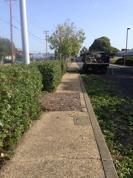 Marina Way median